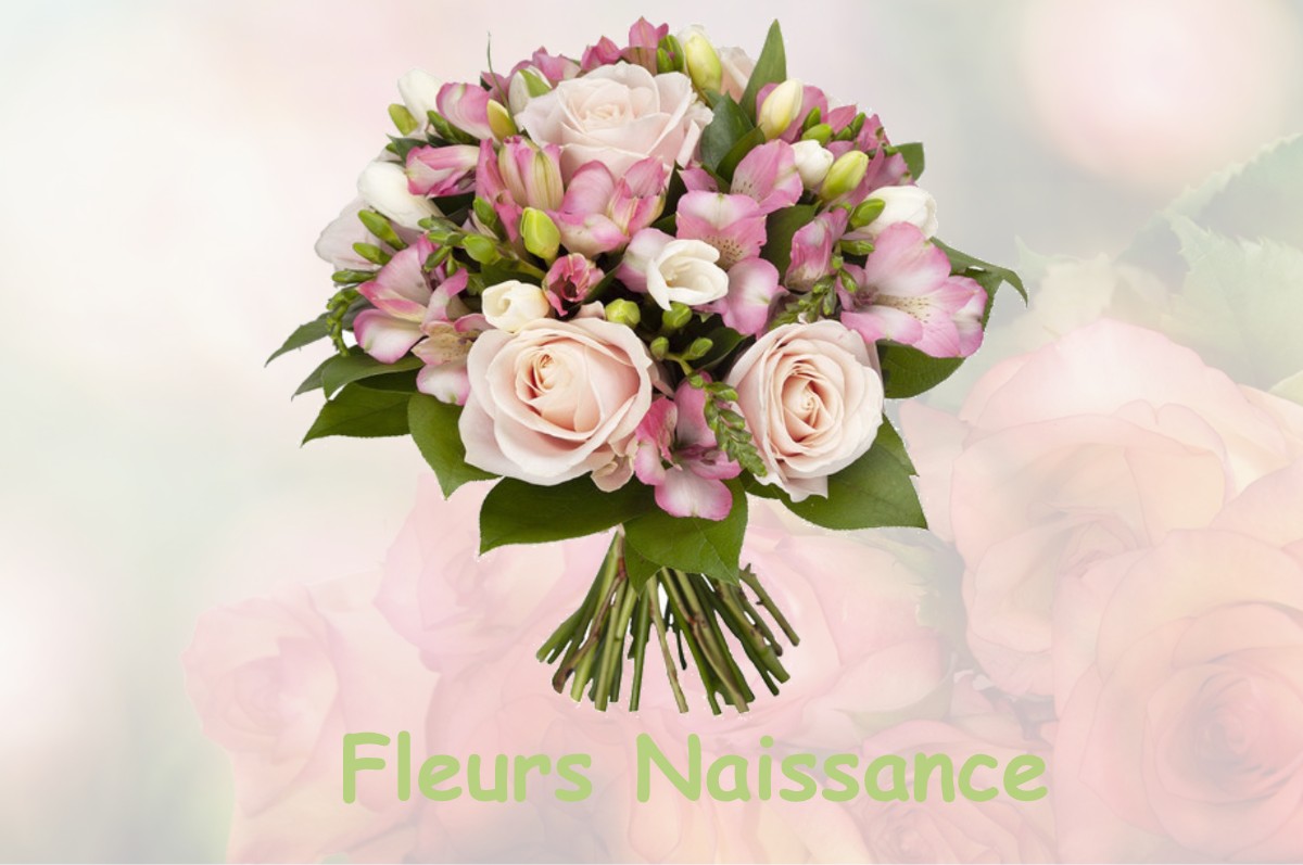 fleurs naissance REVEL