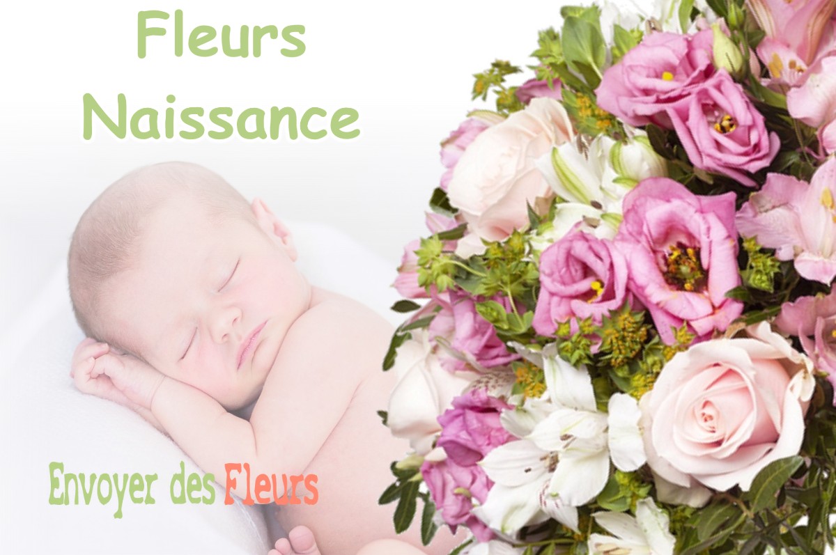 lIVRAISON FLEURS NAISSANCE à REVEL